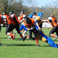 Backnang Wolverines vs. Bad Mergentheim Wolfpack