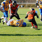 Backnang Wolverines vs. Bad Mergentheim Wolfpack