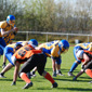 Backnang Wolverines vs. Bad Mergentheim Wolfpack