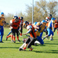 Backnang Wolverines vs. Bad Mergentheim Wolfpack