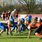 Backnang Wolverines vs. Bad Mergentheim Wolfpack