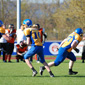 Backnang Wolverines vs. Bad Mergentheim Wolfpack