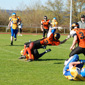 Backnang Wolverines vs. Bad Mergentheim Wolfpack