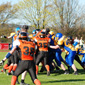 Backnang Wolverines vs. Bad Mergentheim Wolfpack