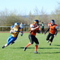 Backnang Wolverines vs. Bad Mergentheim Wolfpack