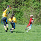 Stuttgart Scorpions Flag-Kids vs. Backnang Wolverines & Neu-Ulm Barracudas