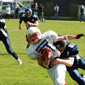 Stuttgart Scorpions Juniors vs. Weinheim Longhorns Juniors