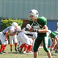 Stuttgart Scorpions Juniors vs. Schwäbisch Hall Unicorns Juniors