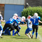 Stuttgart Scorpions Sisters vs. Dresden Diamonds