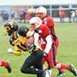 Stuttgart Scorpions Juniors vs. Holzgerlingen Twister