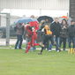 Stuttgart Scorpions Juniors vs. Holzgerlingen Twister