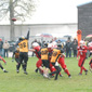 Stuttgart Scorpions Juniors vs. Holzgerlingen Twister