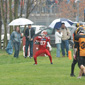 Stuttgart Scorpions Juniors vs. Holzgerlingen Twister