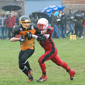 Stuttgart Scorpions Juniors vs. Holzgerlingen Twister