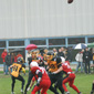 Stuttgart Scorpions Juniors vs. Holzgerlingen Twister