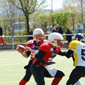 Stuttgart Scorpions Sisters vs. Holzgerlingen Twister Ladies