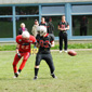 Stuttgart Scorpions Juniors vs. Rhein-Neckar Bandits