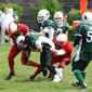 Stuttgart Scorpions Juniors vs. Schwäbisch Hall Unicorns