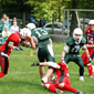 Stuttgart Scorpions Juniors vs. Schwäbisch Hall Unicorns