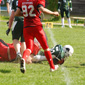 Stuttgart Scorpions Juniors vs. Schwäbisch Hall Unicorns