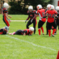 Stuttgart Scorpions Sisters vs. Lady Lions Braunschweig