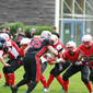 Stuttgart Scorpions Sisters vs. Lady Lions Braunschweig