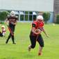 Stuttgart Scorpions Sisters vs. Lady Lions Braunschweig