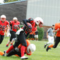 Stuttgart Scorpions Sisters vs. Wolfenbüttel Black Widows