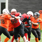 Stuttgart Scorpions Sisters vs. Wolfenbüttel Black Widows