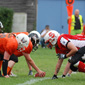 Stuttgart Scorpions Sisters vs. Wolfenbüttel Black Widows