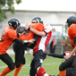 Stuttgart Scorpions Sisters vs. Wolfenbüttel Black Widows