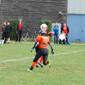 Stuttgart Scorpions Sisters vs. Wolfenbüttel Black Widows