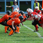 Stuttgart Scorpions Sisters vs. Wolfenbüttel Black Widows