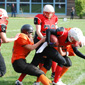 Stuttgart Scorpions Sisters vs. Wolfenbüttel Black Widows