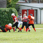 Stuttgart Scorpions Sisters vs. Wolfenbüttel Black Widows