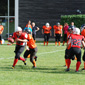 Stuttgart Scorpions Sisters vs. Wolfenbüttel Black Widows